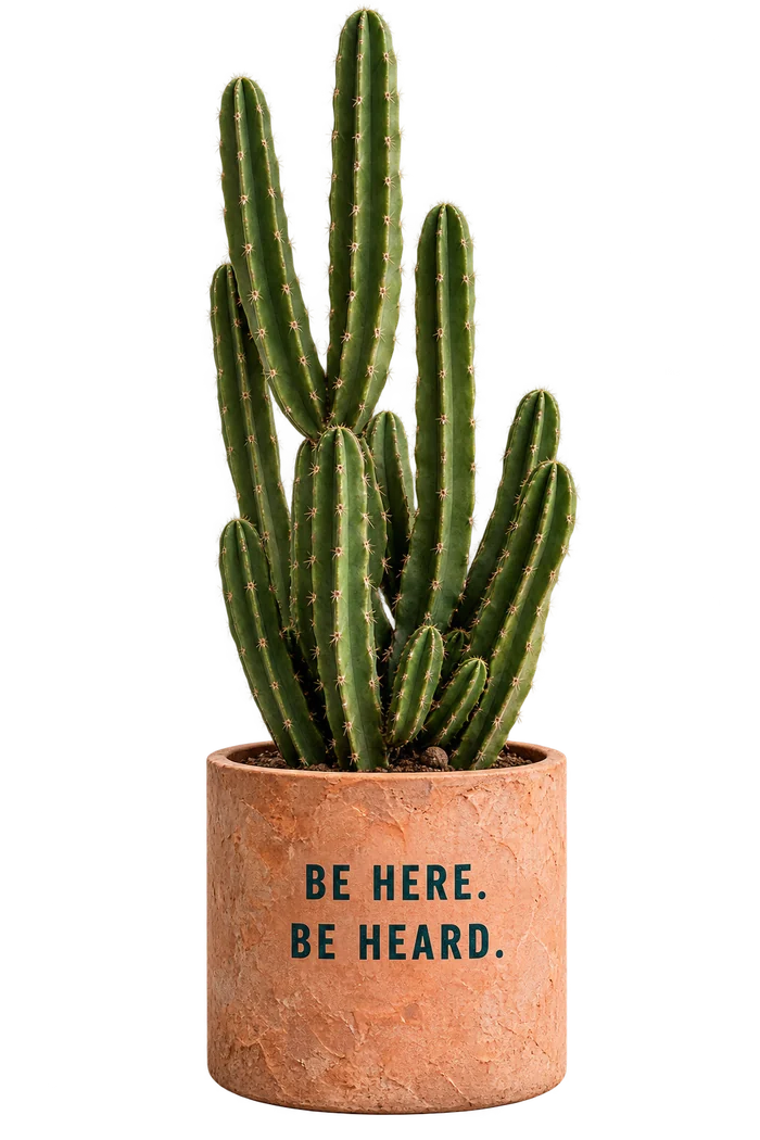 Tall green cactus in a terracotta planter printed with Be Here. Be Heard.