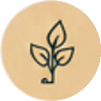 Sprouting plant icon representing local business growth